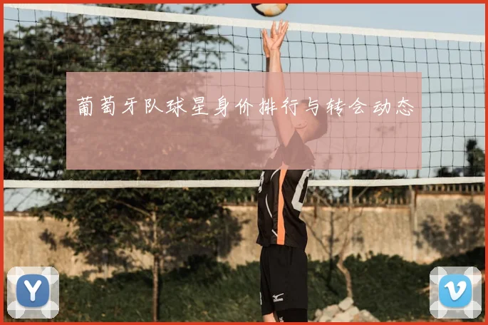 葡萄牙队球星身价排行与转会动态