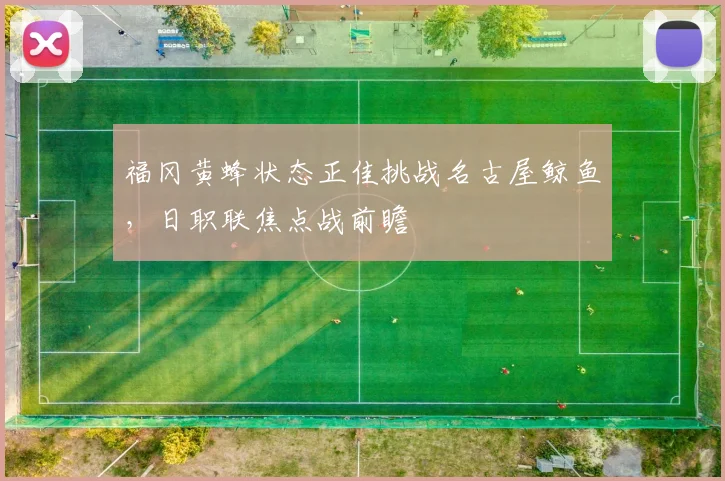 福冈黄蜂状态正佳挑战名古屋鲸鱼，日职联焦点战前瞻