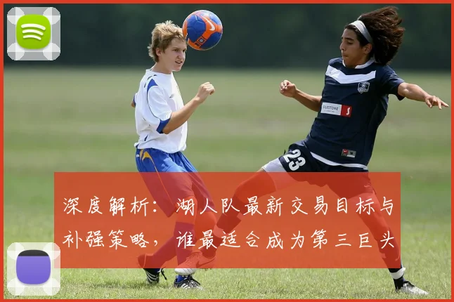 深度解析：湖人队最新交易目标与补强策略，谁最适合成为第三巨头？