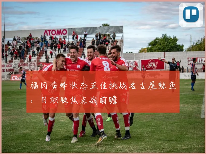 福冈黄蜂状态正佳挑战名古屋鲸鱼，日职联焦点战前瞻